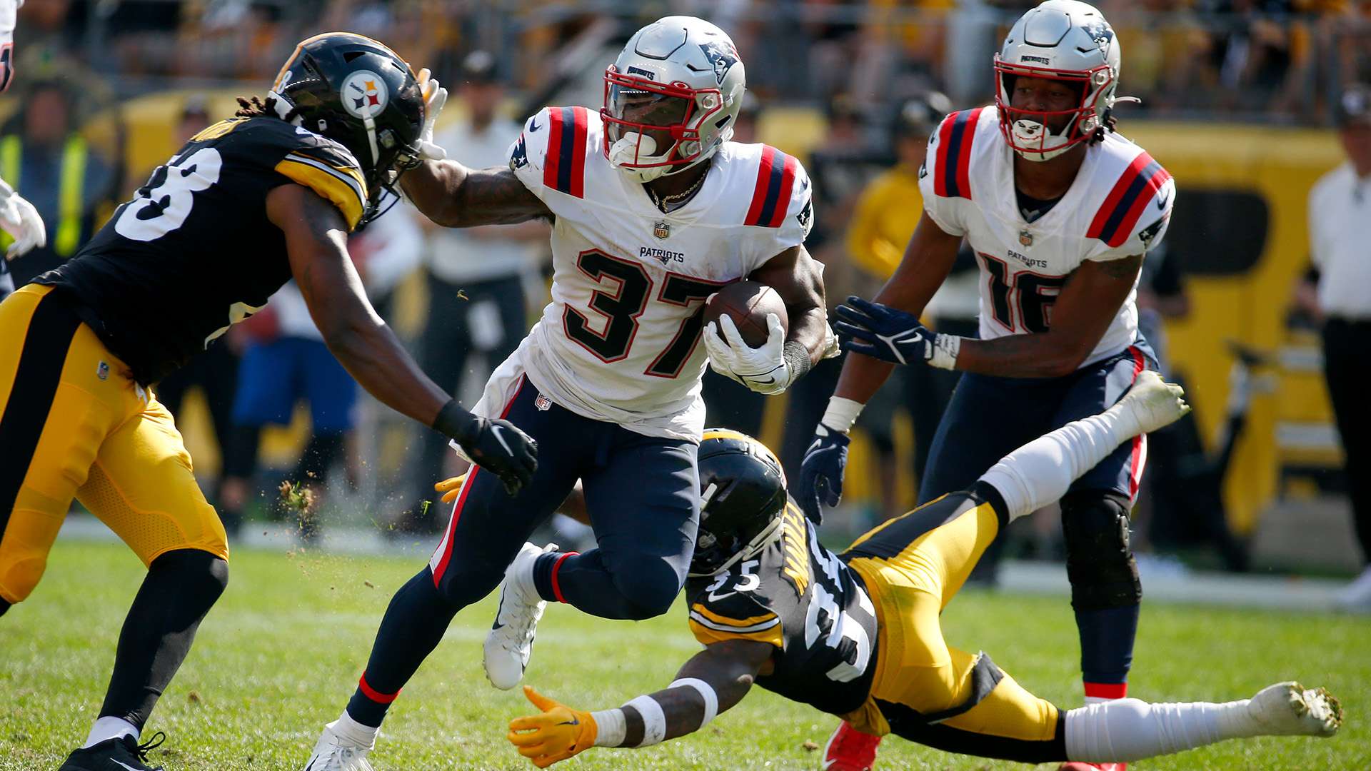 是国内著名 是国内著名