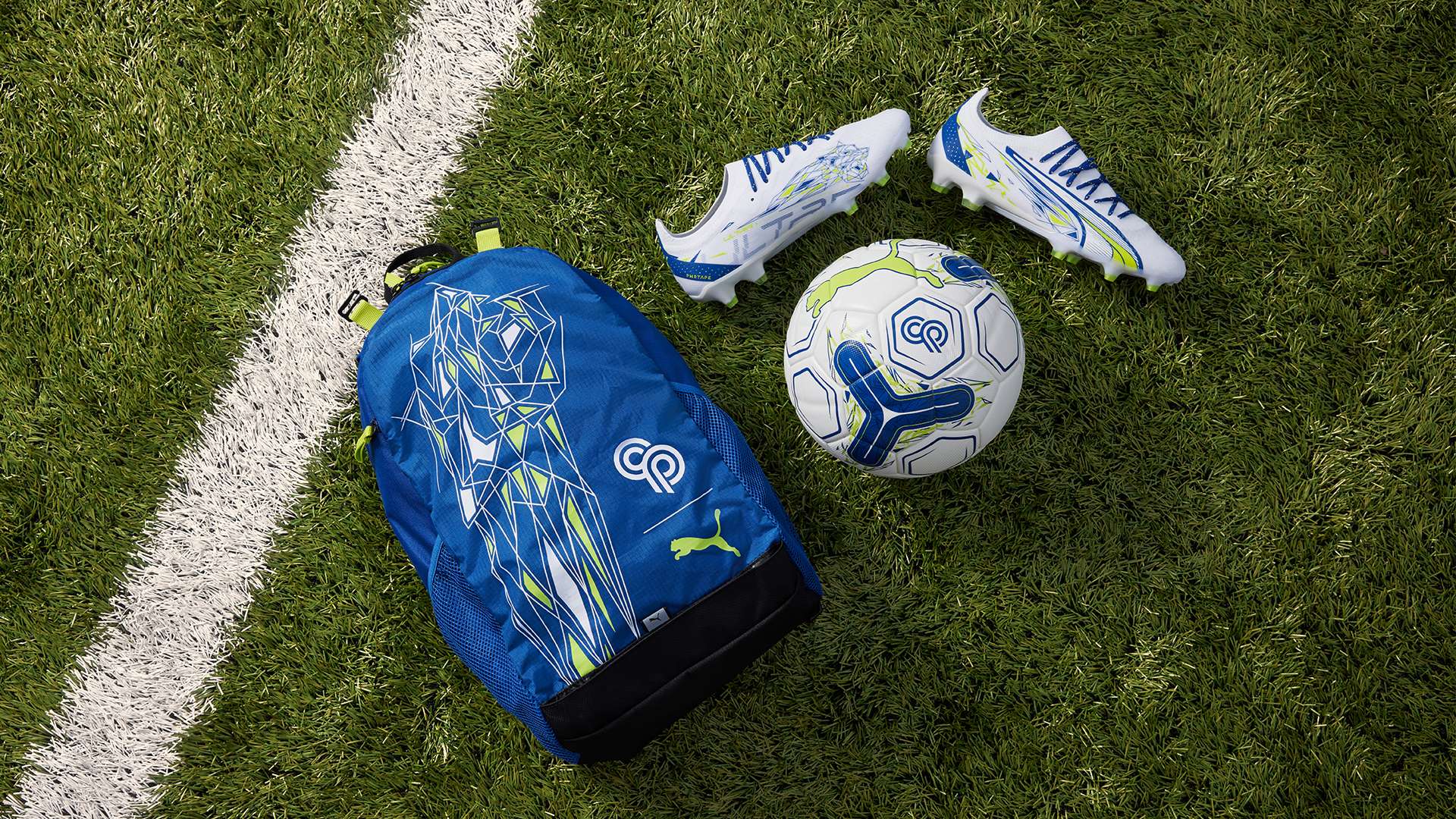 火箭主场胜 火箭主场胜