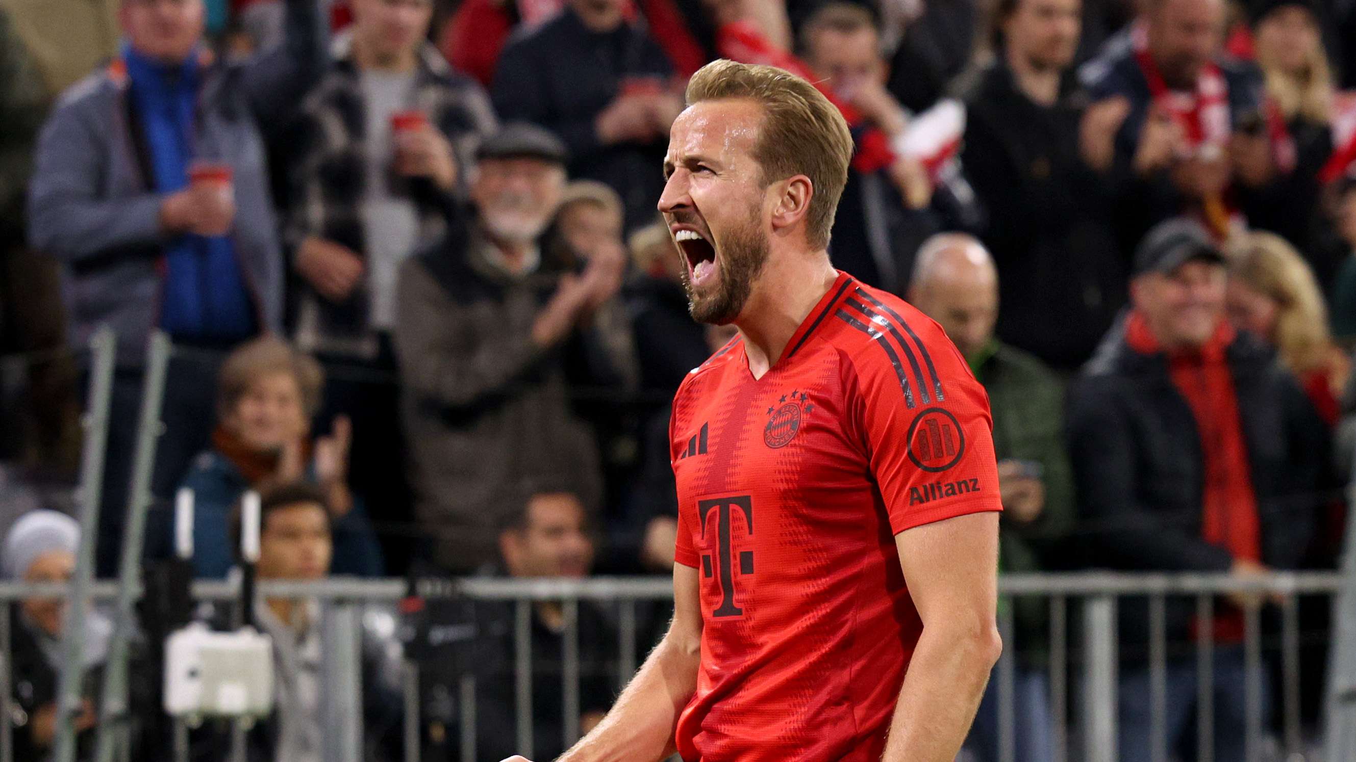 一个真实的 一个真实的